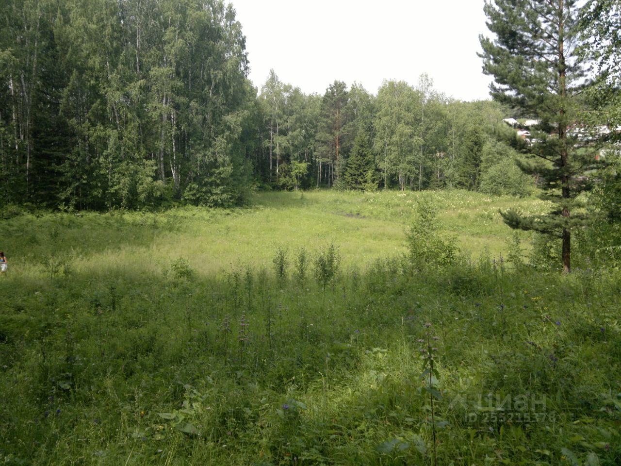 Купить загородную недвижимость в поселке Каменный Яр Емельяновского района,  продажа загородной недвижимости - база объявлений Циан. Найдено 1 объявление