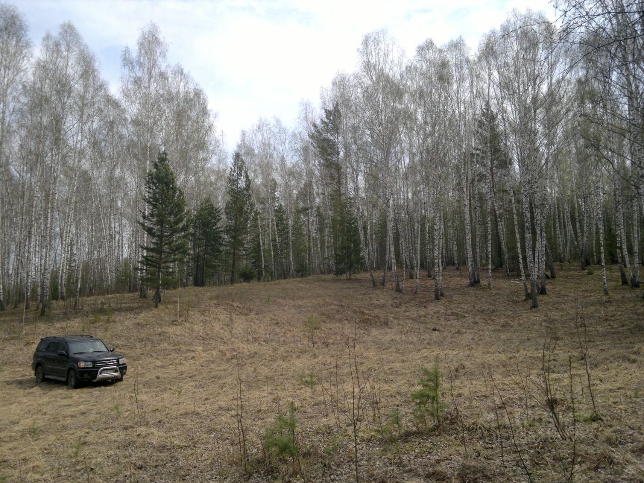 Купить загородную недвижимость в поселке Каменный Яр Емельяновского района,  продажа загородной недвижимости - база объявлений Циан. Найдено 1 объявление