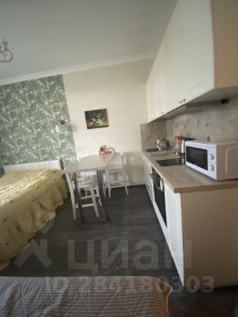 студия, 26 м², этаж 13