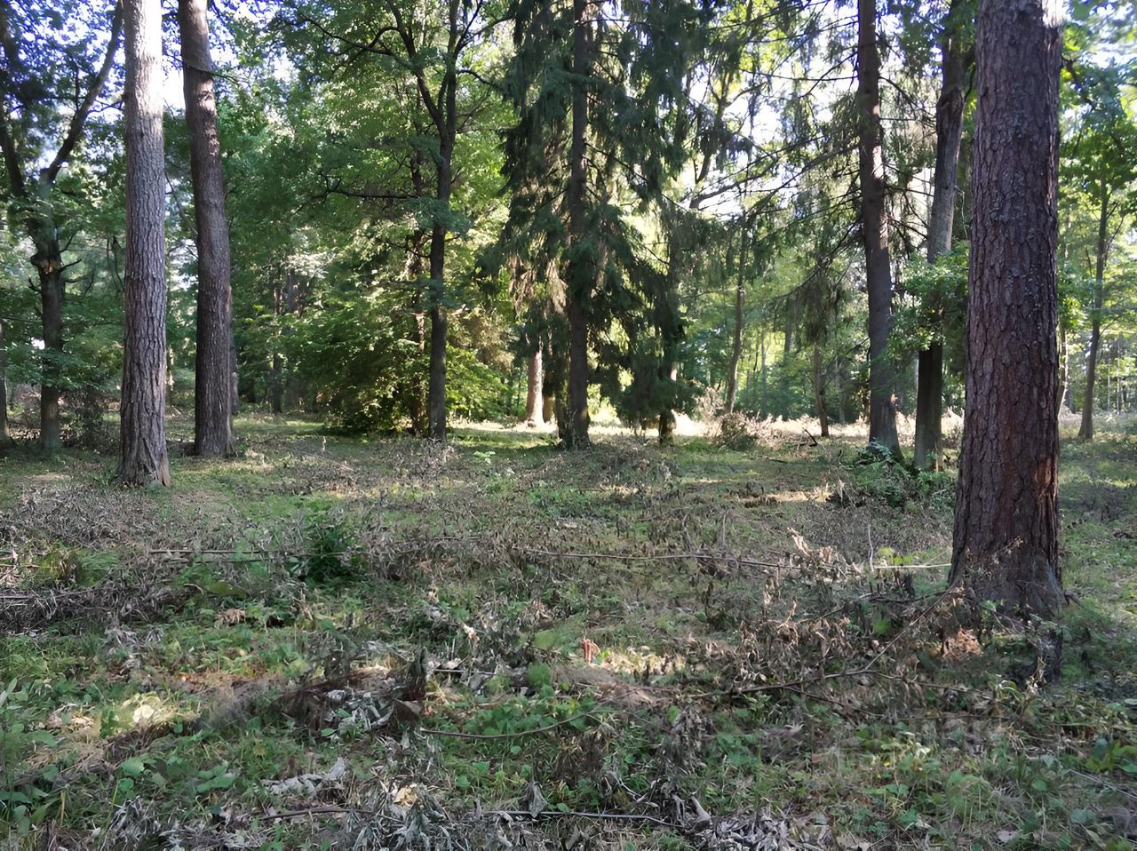 Купить земельный участок в городском округе Одинцовском Московской области,  продажа земельных участков - база объявлений Циан. Найдено 1 949 объявлений