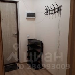 студия, 25 м², этаж 9