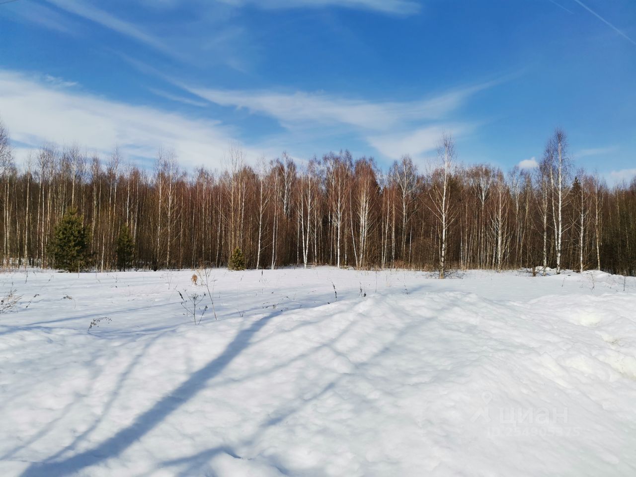 Купить загородную недвижимость в садовое товарищество Союз-Чернобыль  Судогодского района, продажа загородной недвижимости - база объявлений  Циан. Найдено 2 объявления