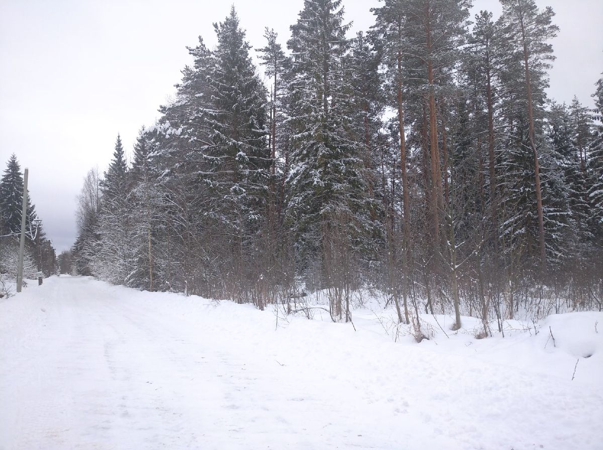 Купить участок 3,8га Новгородская область, Новгородский район, Плашкино  деревня - база ЦИАН, объявление 250147686