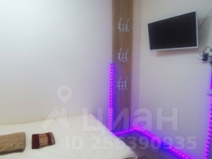 студия, 17 м², этаж 2