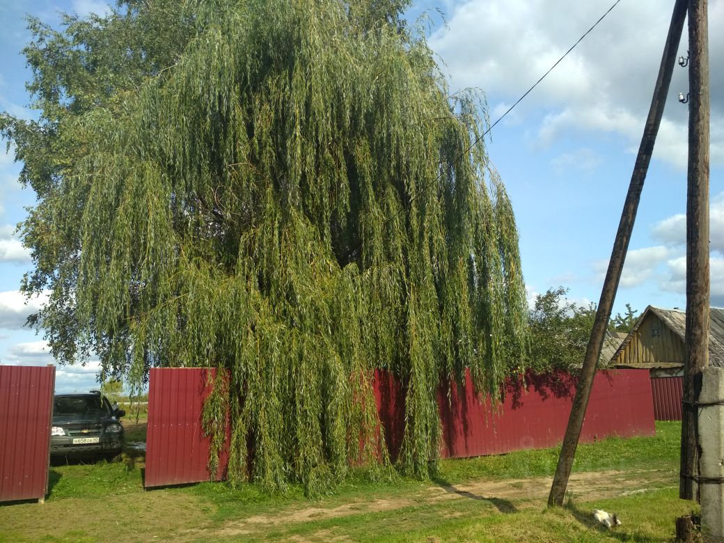 Купить загородную недвижимость в деревне Жашково Село Перемышль сельского  поселения, продажа загородной недвижимости - база объявлений Циан. Найдено  1 объявление