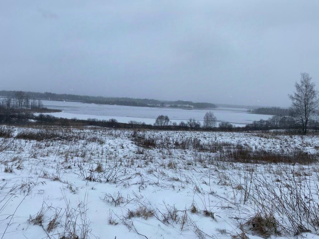 Купить загородную недвижимость в деревне Засеново Куньинского района,  продажа загородной недвижимости - база объявлений Циан. Найдено 1 объявление