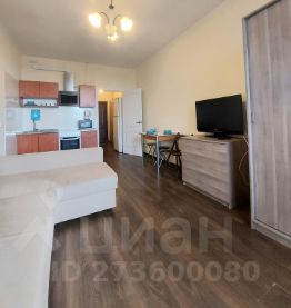 студия, 28 м², этаж 15