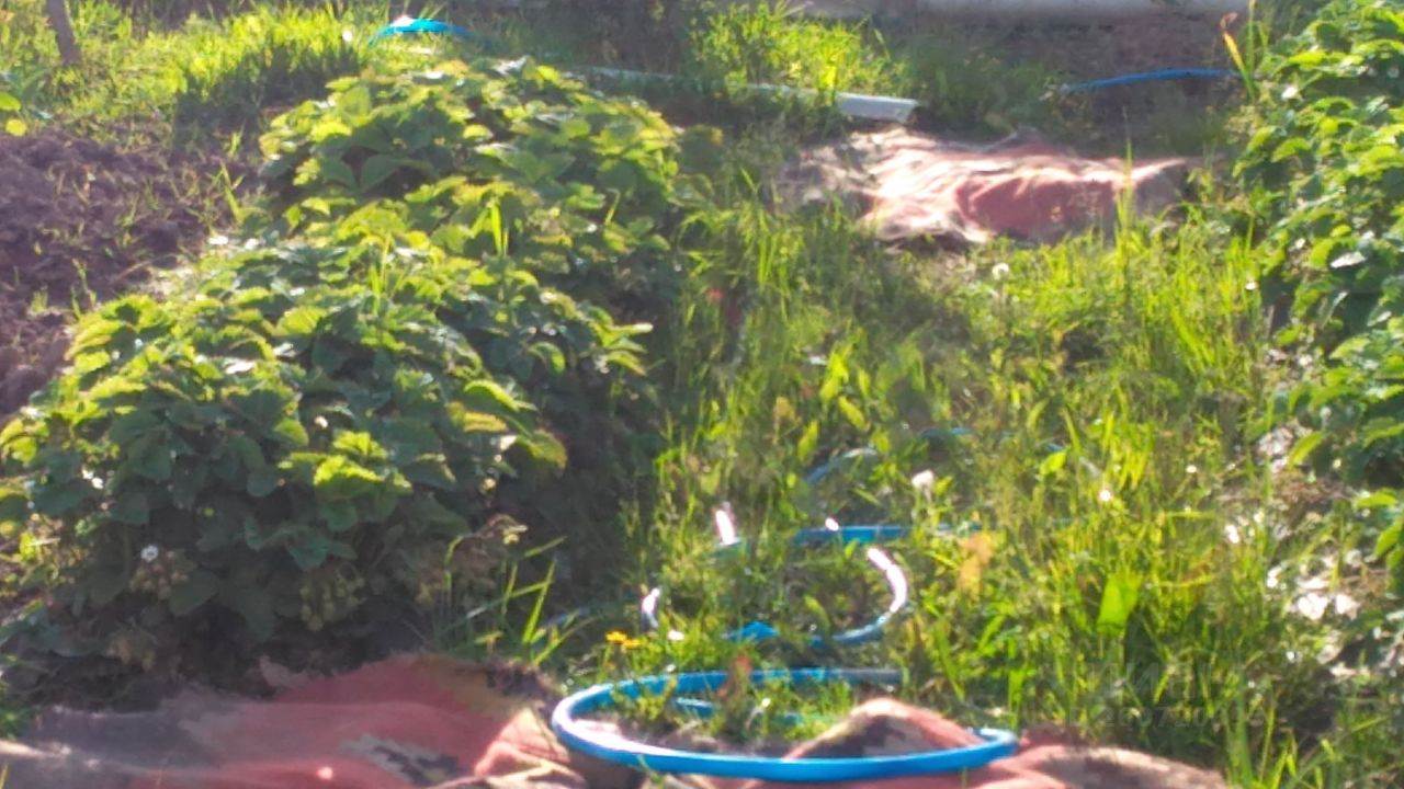 Дом 30 м² за 170 000 ₽ в Наволокское городское поселение — фото 2