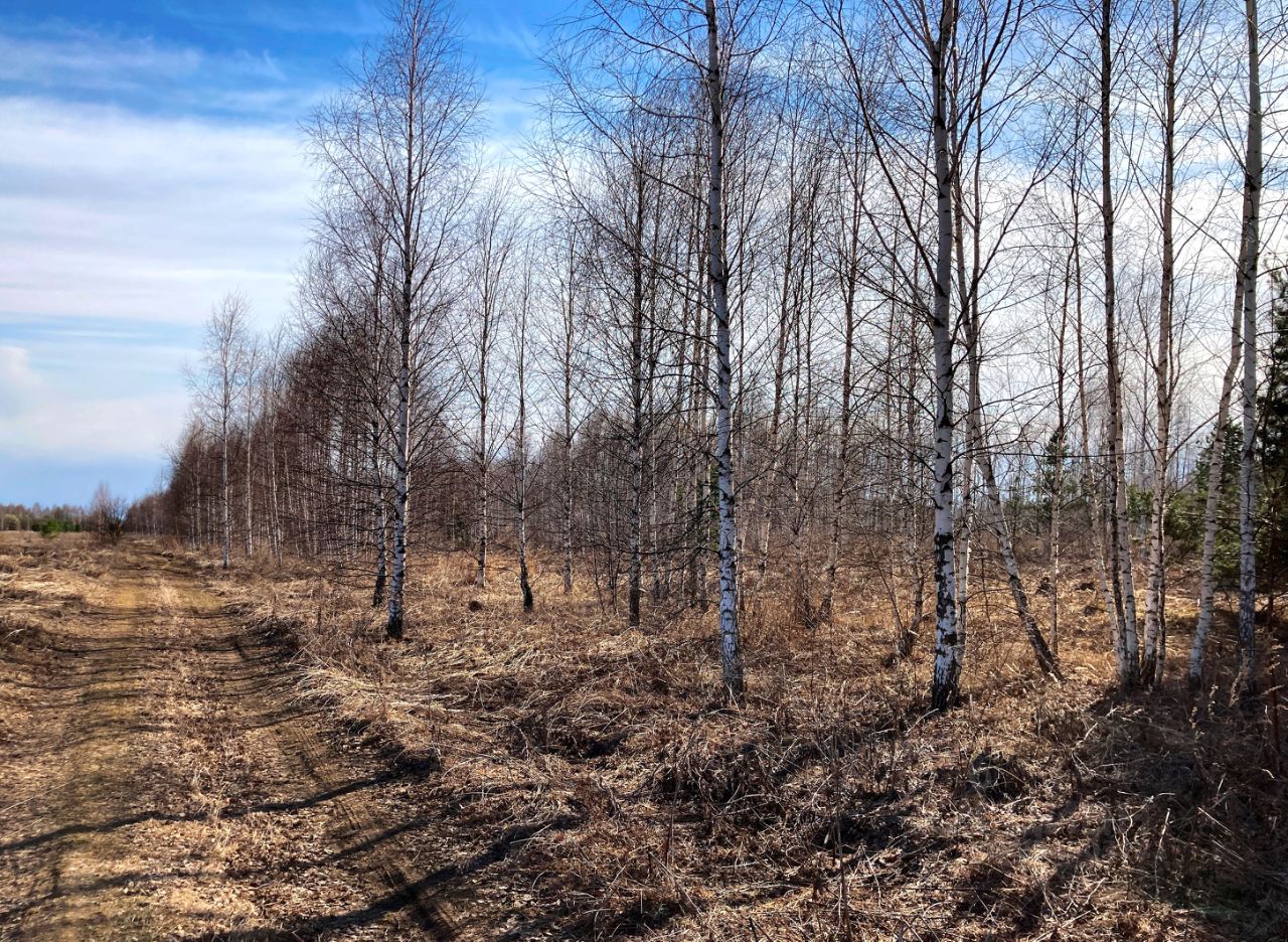 Купить дачный участок в селе Ломовка Нижегородской области, продажа участков для дачи. Найдено 2 объявления.