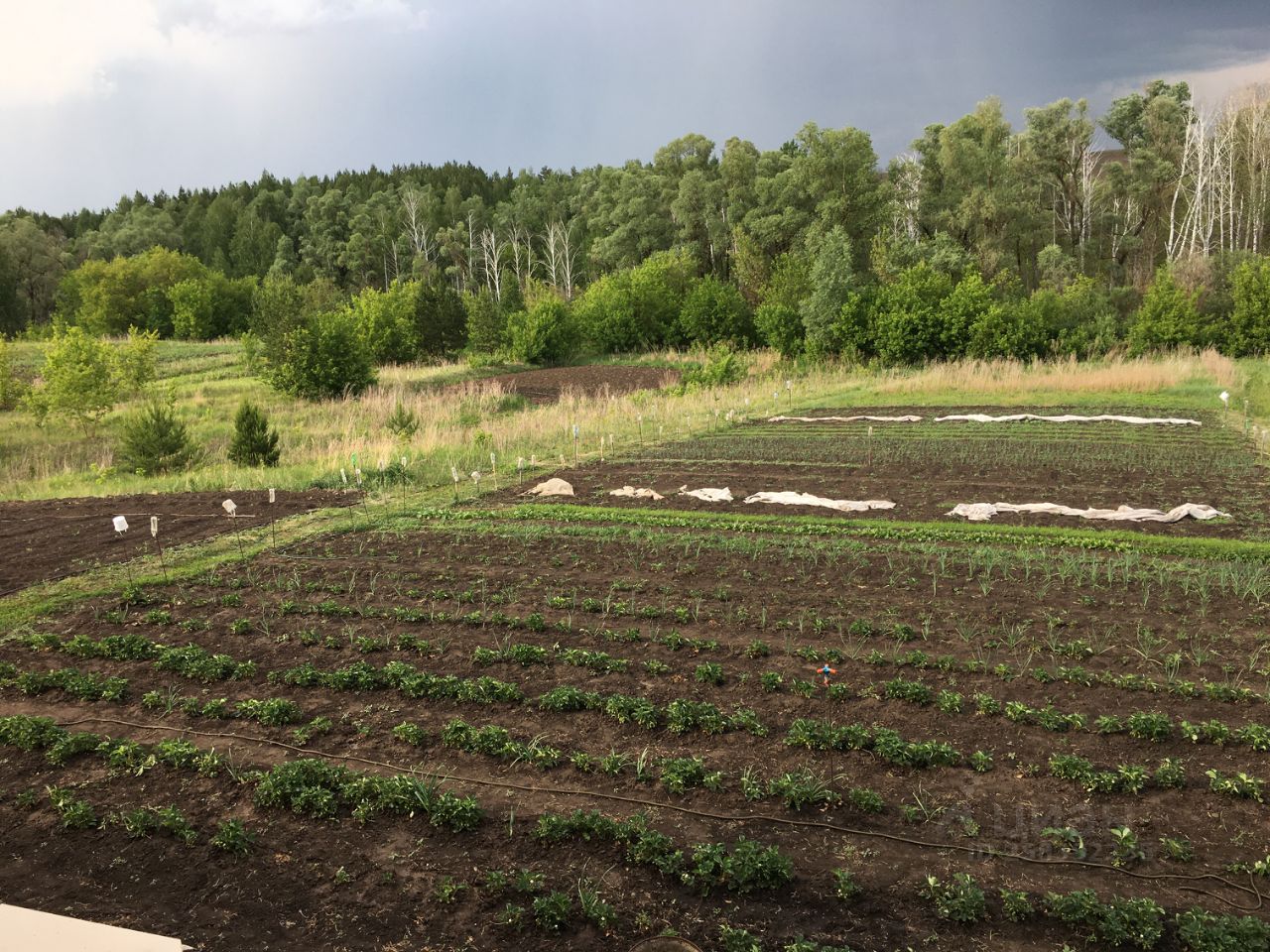 Купить земельный участок в поселке Заря Красноярского района, продажа  земельных участков - база объявлений Циан. Найдено 1 объявление