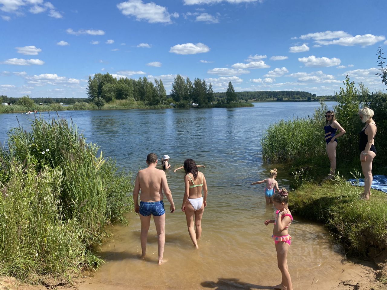Пенеснарь озеро смоленск