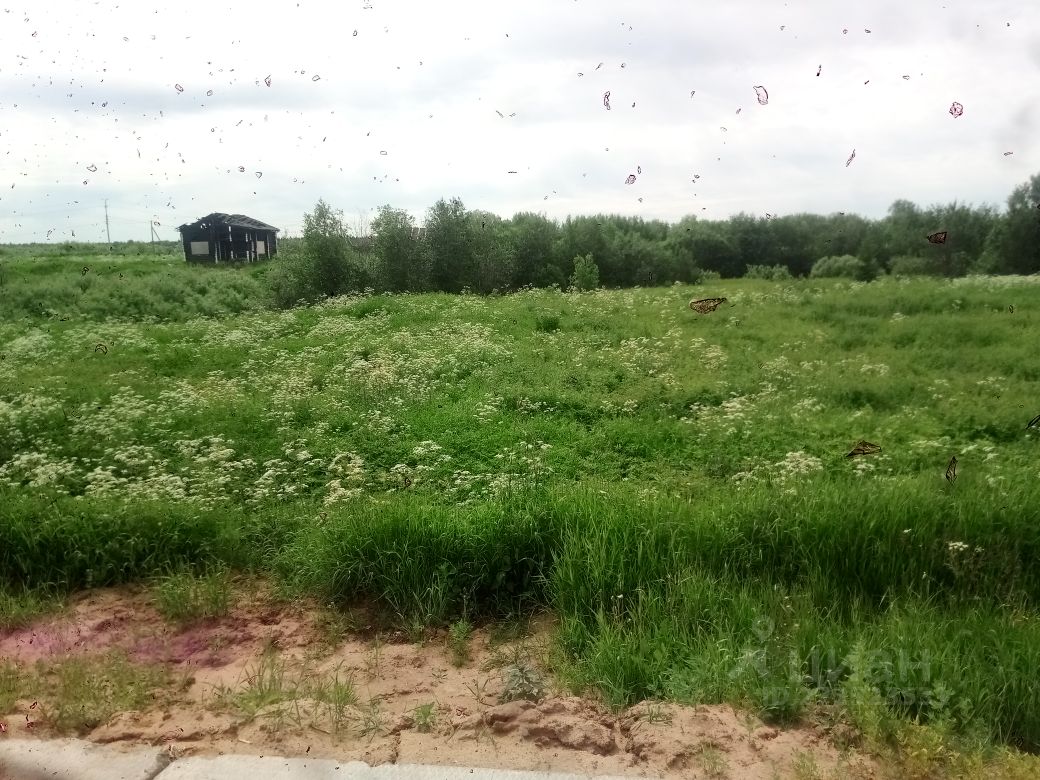 Купить загородную недвижимость в деревне Ижма Приморского района, продажа  загородной недвижимости - база объявлений Циан. Найдено 3 объявления