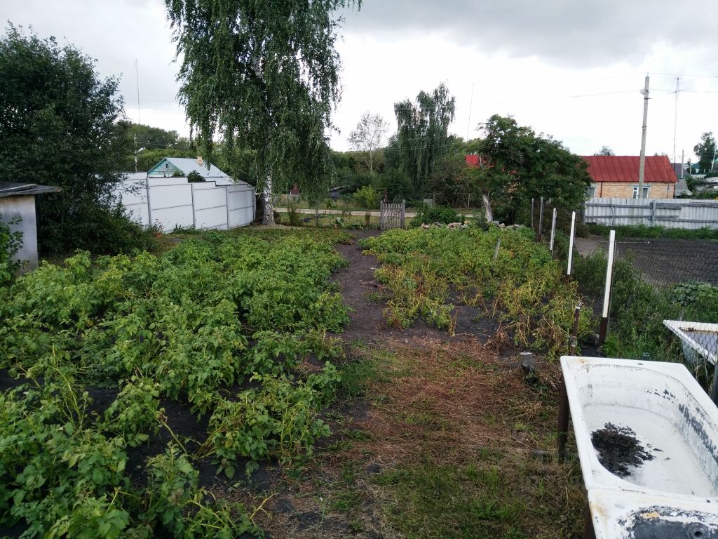 Купить загородную недвижимость в селе Васильевка Пензенского района,  продажа загородной недвижимости - база объявлений Циан. Найдено 1 объявление