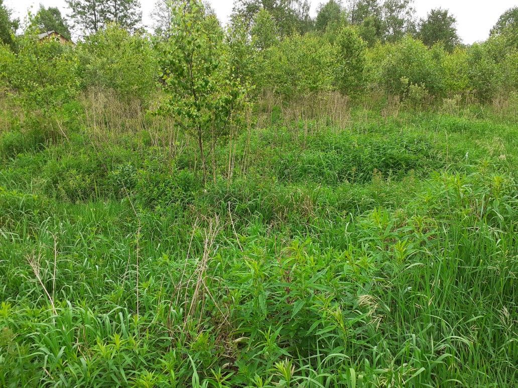 Купить загородную недвижимость в поселке Свень Брянского района, продажа  загородной недвижимости - база объявлений Циан. Найдено 11 объявлений