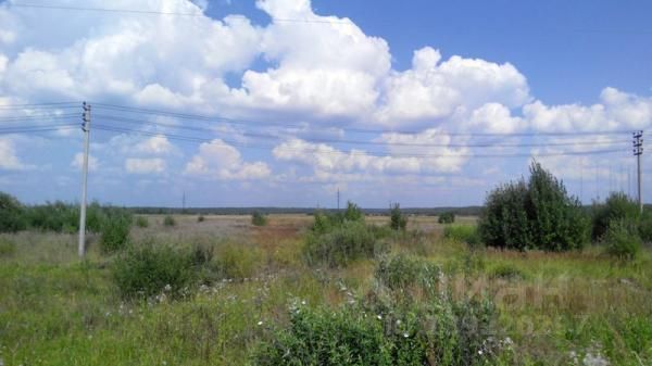 Аэродром юркино в талдомском районе. Погода в юркино талдомский. Погода в юркино талдомский. Погода в юркино талдомский. Погода в юркино талдомский.