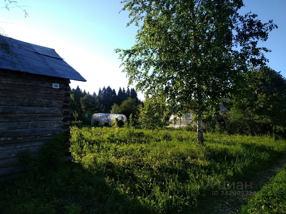 Купить земельный участок в СНТ Нива в городе Пермь, продажа земельных  участков - база объявлений Циан. Найдено 1 объявление