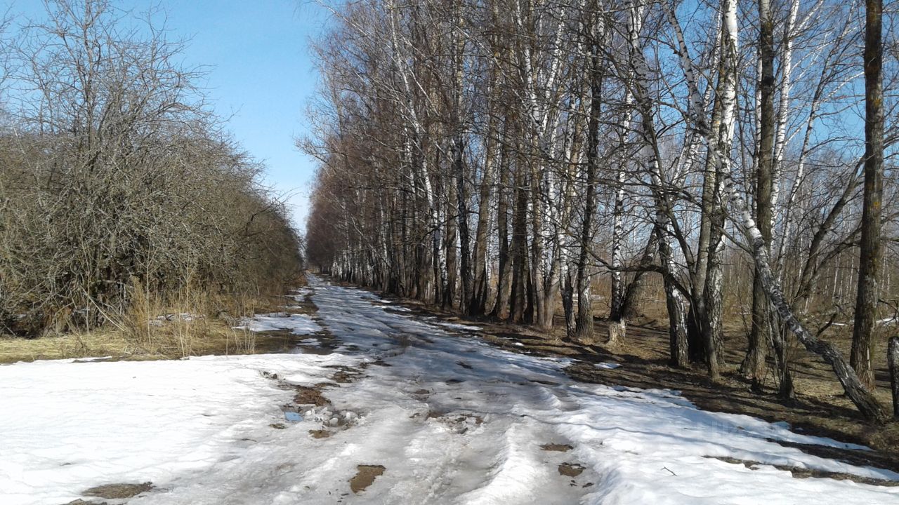 Купить земельный участок в деревне Коптево Тульской области, продажа  земельных участков - база объявлений Циан. Найдено 1 объявление