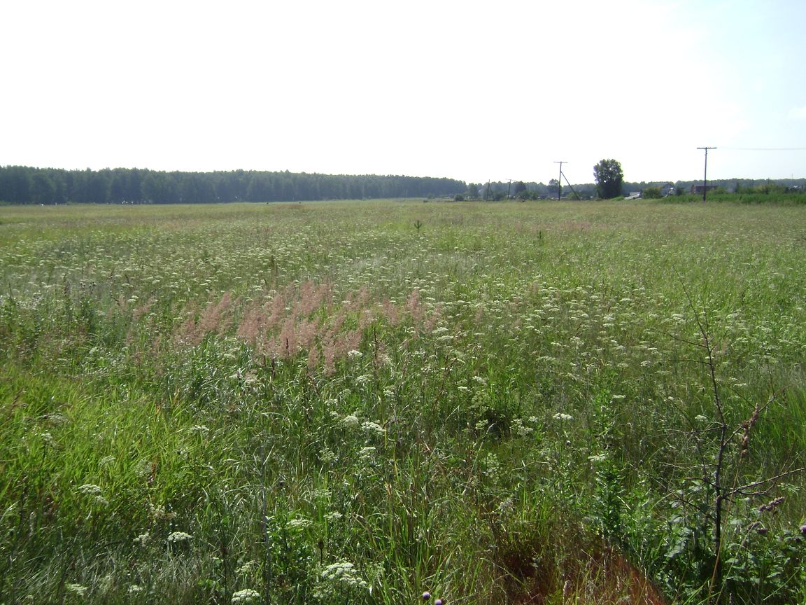 Купить загородную недвижимость на улице Чапаева в поселке городского типа  Белоярский, продажа загородной недвижимости - база объявлений Циан. Найдено  5 объявлений