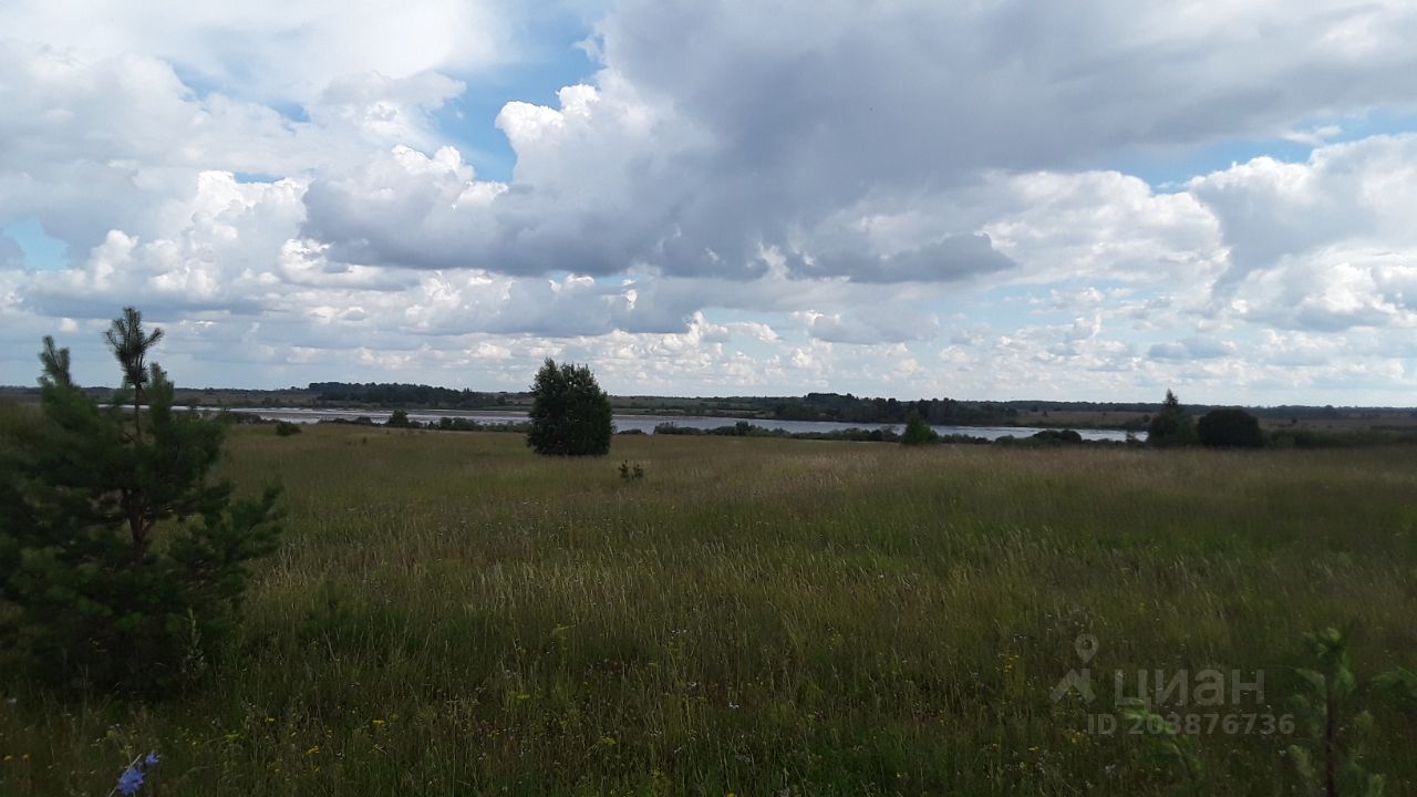 Купить земельный участок в поселке городского типа Палкино Палкинского  района, продажа земельных участков - база объявлений Циан. Найдено 6  объявлений