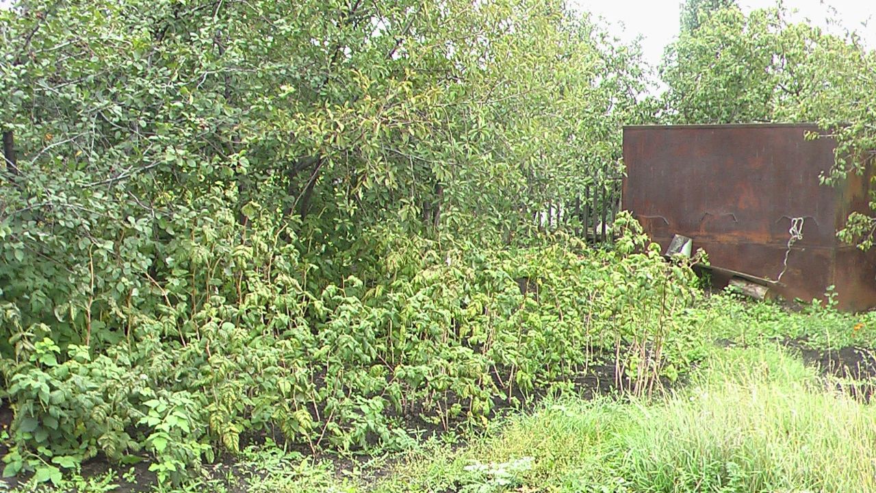 Купить загородную недвижимость в селе Богдановка Кинельского района,  продажа загородной недвижимости - база объявлений Циан. Найдено 7 объявлений