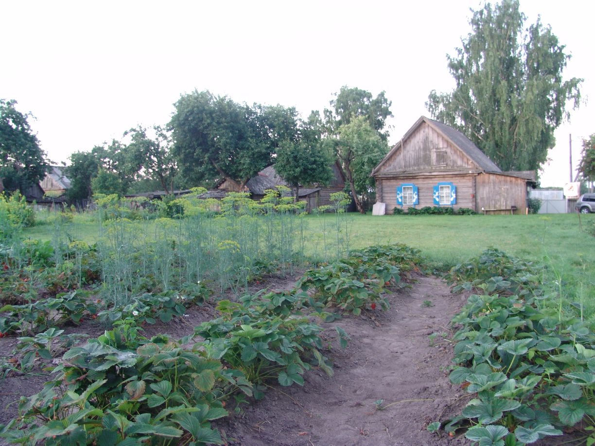 Купить дом с пропиской в Брянской области, продажа домов для ПМЖ. Найдено 9  объявлений.