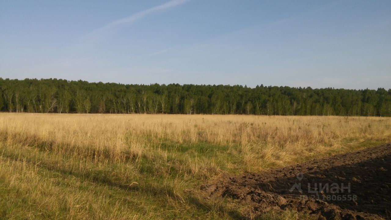 Купить земельный участок в микрорайоне Тополя в городе Курган, продажа  земельных участков - база объявлений Циан. Найдено 15 объявлений