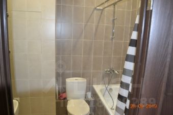 студия, 25 м², этаж 12