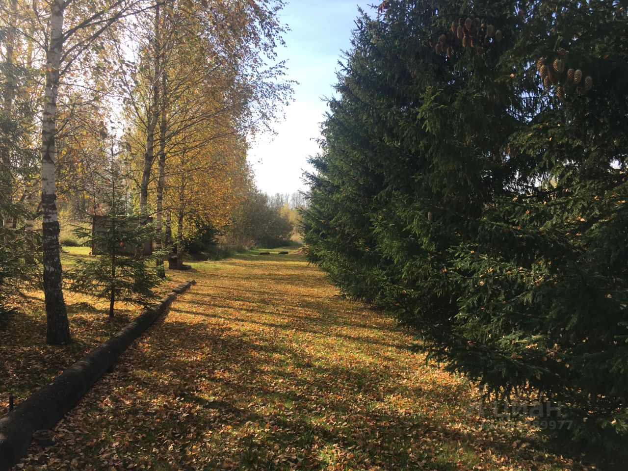 Купить загородную недвижимость в деревне Вороново Московской области,  продажа загородной недвижимости - база объявлений Циан. Найдено 5 объявлений