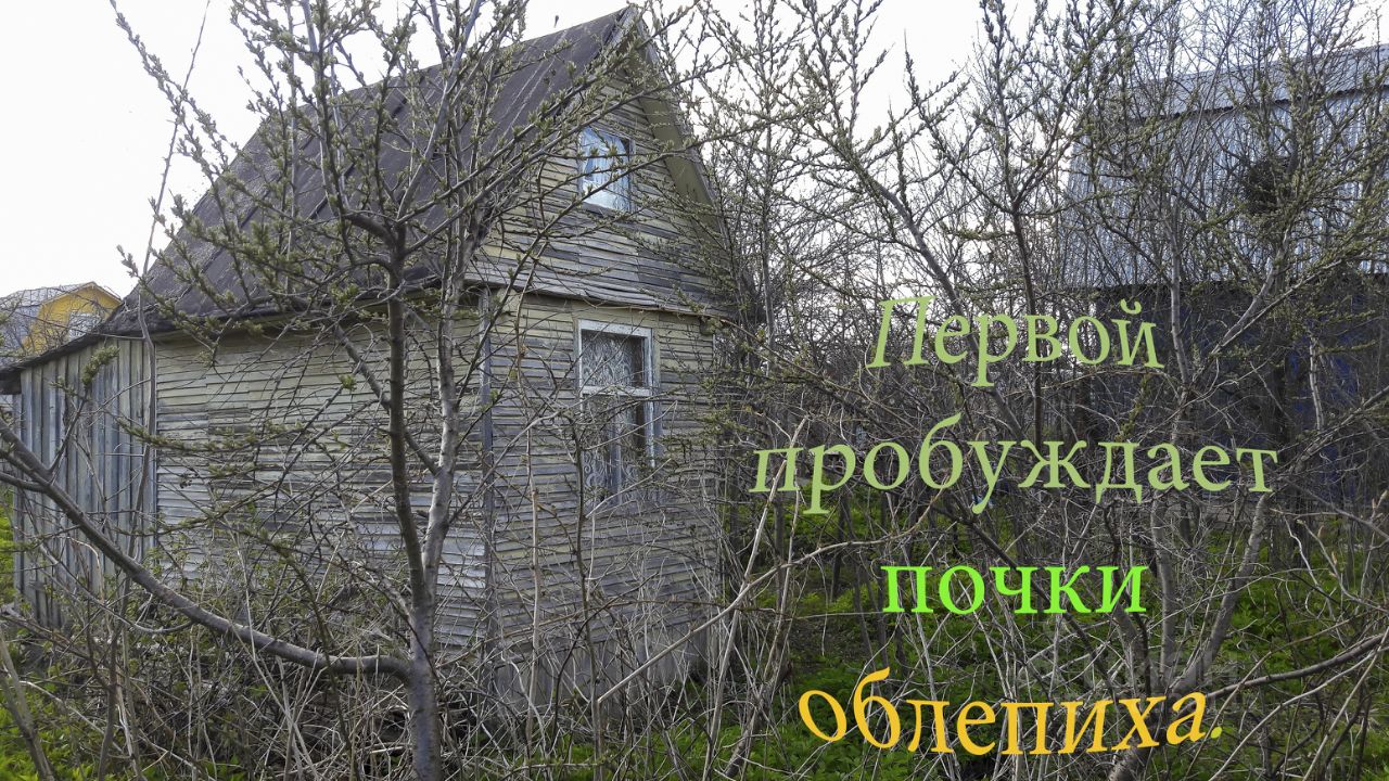 Купить земельный участок на улице 26-я в СНТ Прогресс в муниципальном  округе Кимрский, продажа земельных участков - база объявлений Циан. Найдено  1 объявление