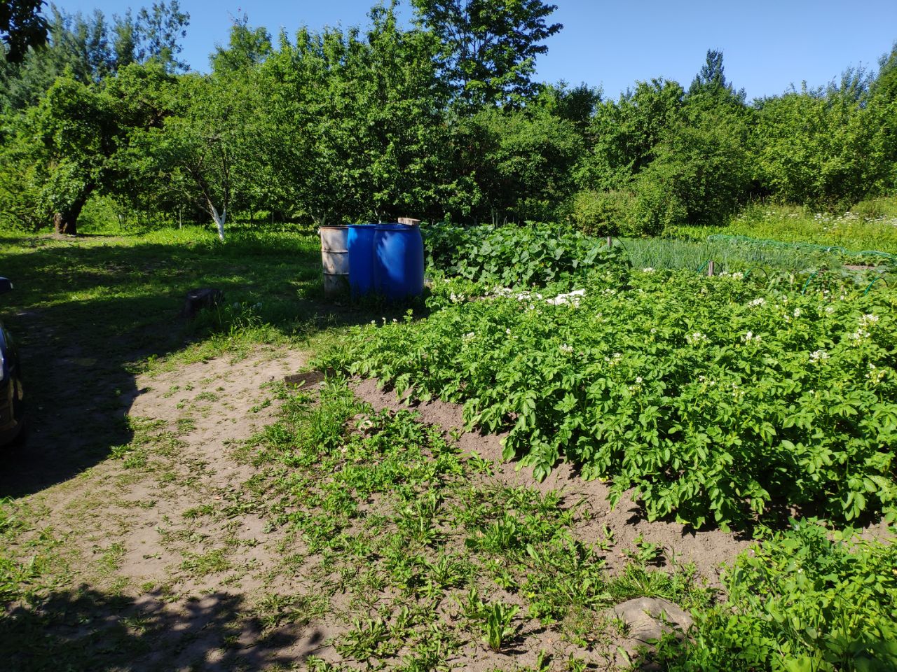 Купить земельный участок в деревне Задубье Гдовского района, продажа  земельных участков - база объявлений Циан. Найдено 1 объявление