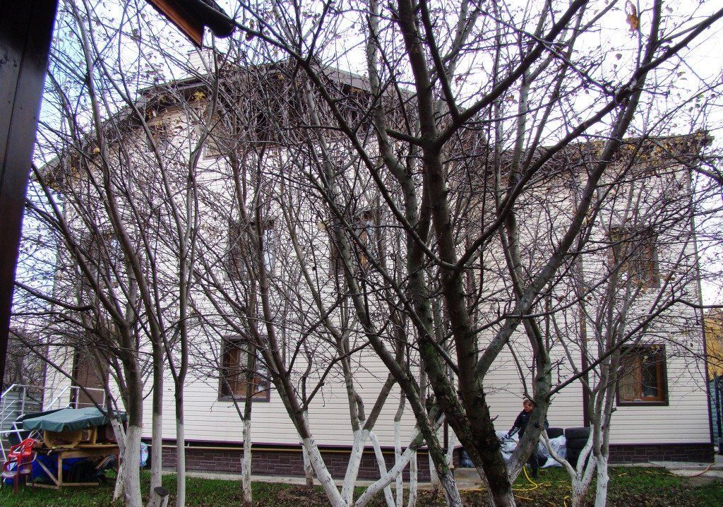 БЦ в СНТ Дары природы, 372