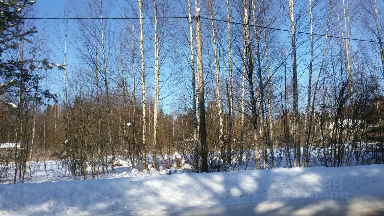 Купить загородную недвижимость в деревне Белая Гора Новгородского района,  продажа загородной недвижимости - база объявлений Циан. Найдено 7 объявлений