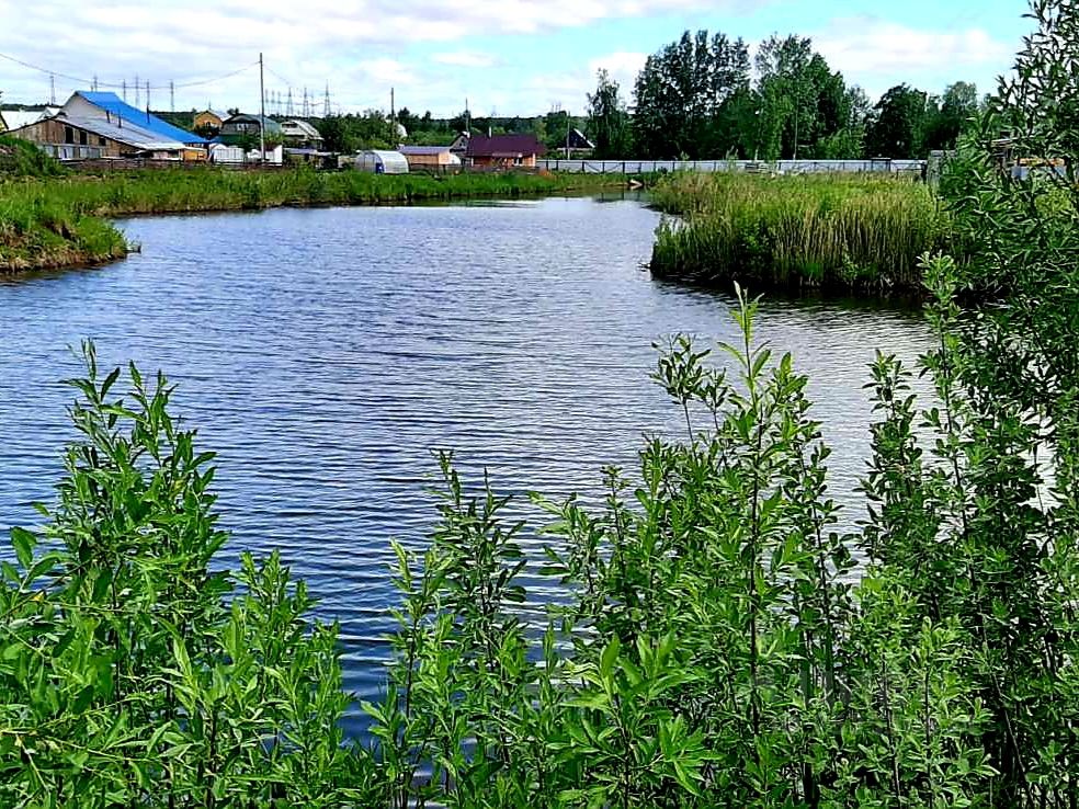 Снт пески участок. СНТ золотые Пески.