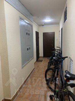 3-комн.кв., 84 м², этаж 18