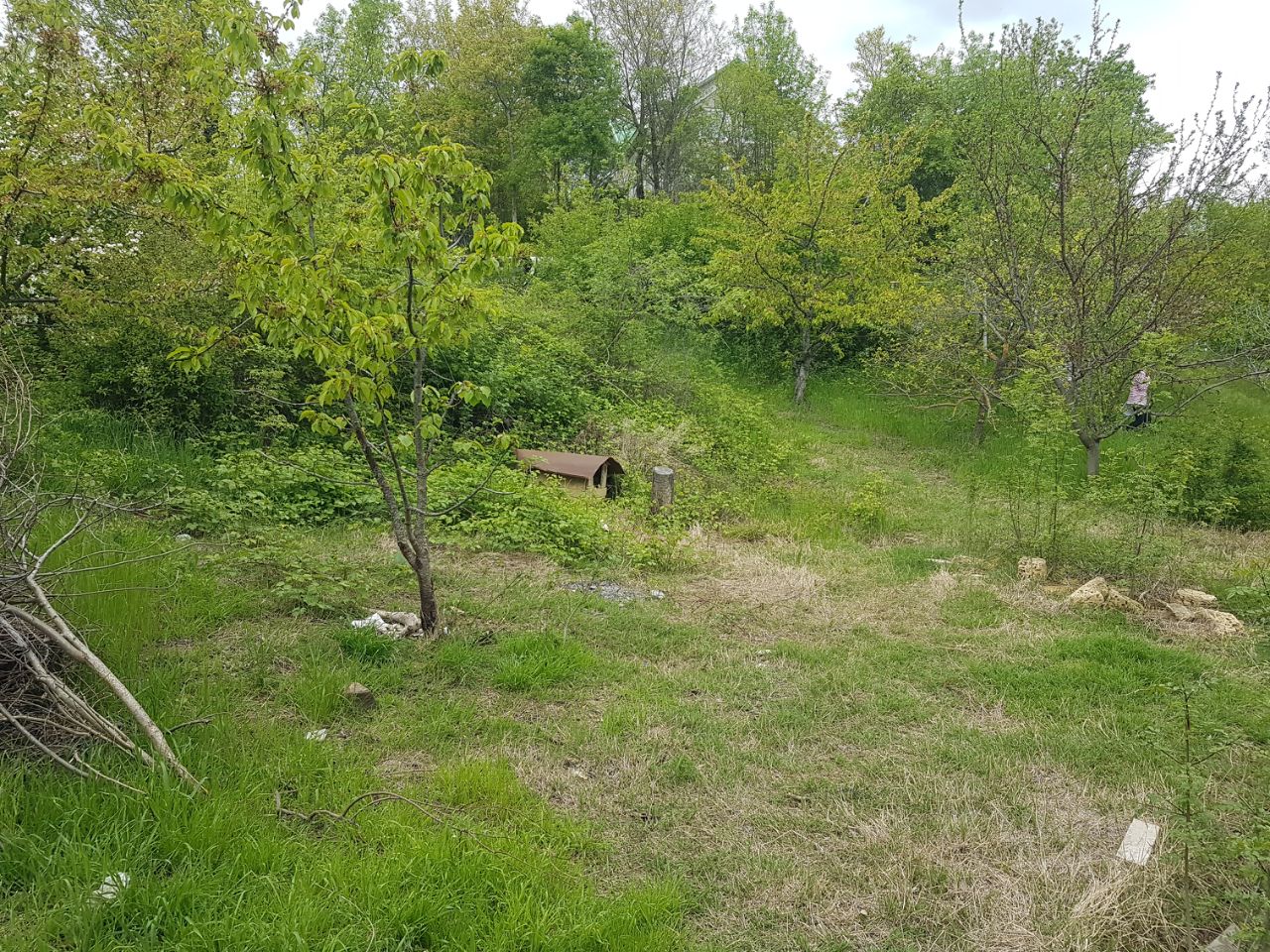 Купить земельный участок с домом под снос в городском округе Алуште  республики Крым, продажа участков под строительство. Найдено 1 объявление.