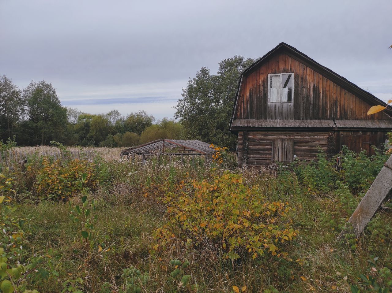 Продаю участок 12сот. Киров, Кировская область, Бахта село - база ЦИАН,  объявление 263269613