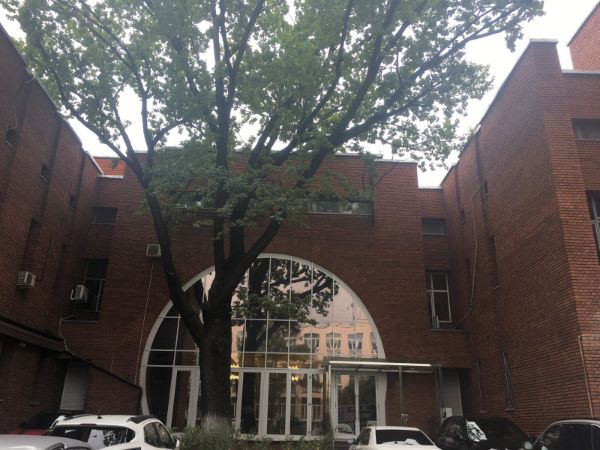 Бизнес-центр в Столярном переулке, 7с1