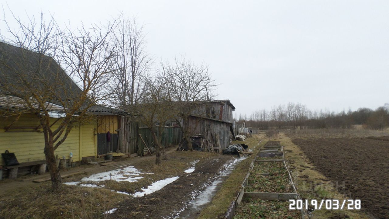 Купить дом в деревне Григорово Старорусского района, продажа домов - база  объявлений Циан. Найдено 2 объявления