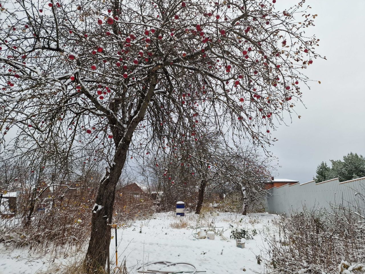 Купить дом на улице Колхозная в микрорайоне Бадеево в городе Чехов, продажа  домов - база объявлений Циан. Найдено 1 объявление