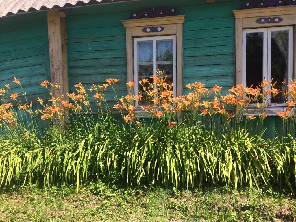 Купить дачу недорого в Невельском районе Псковской области. Найдено 5  объявлений.