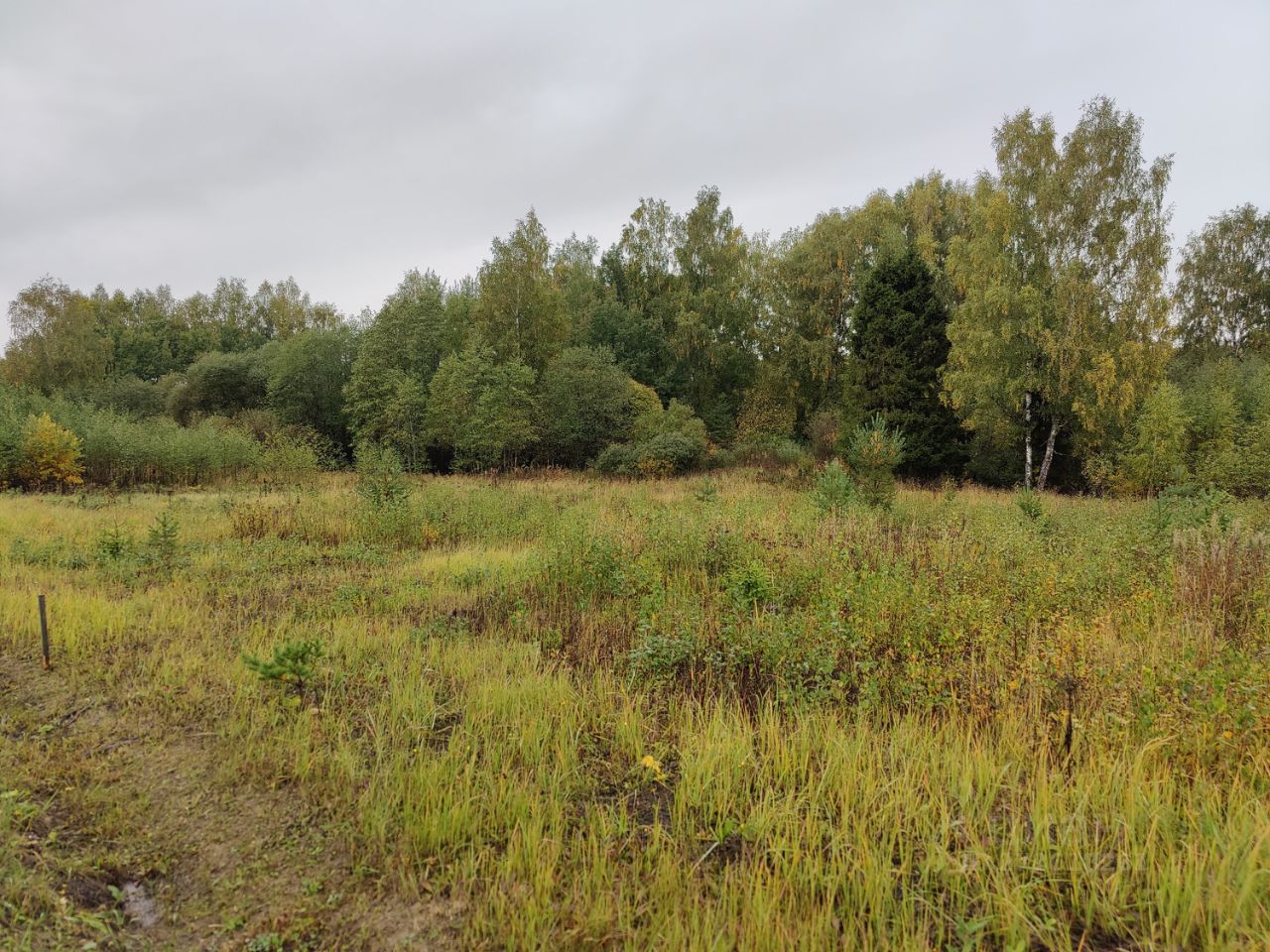 Купить загородную недвижимость в дачном поселке Стрижи городского округа  Можайского, продажа загородной недвижимости - база объявлений Циан. Найдено  1 объявление