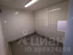 своб. назнач. 250 м², этаж -2