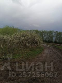 участок 20.0 сот.