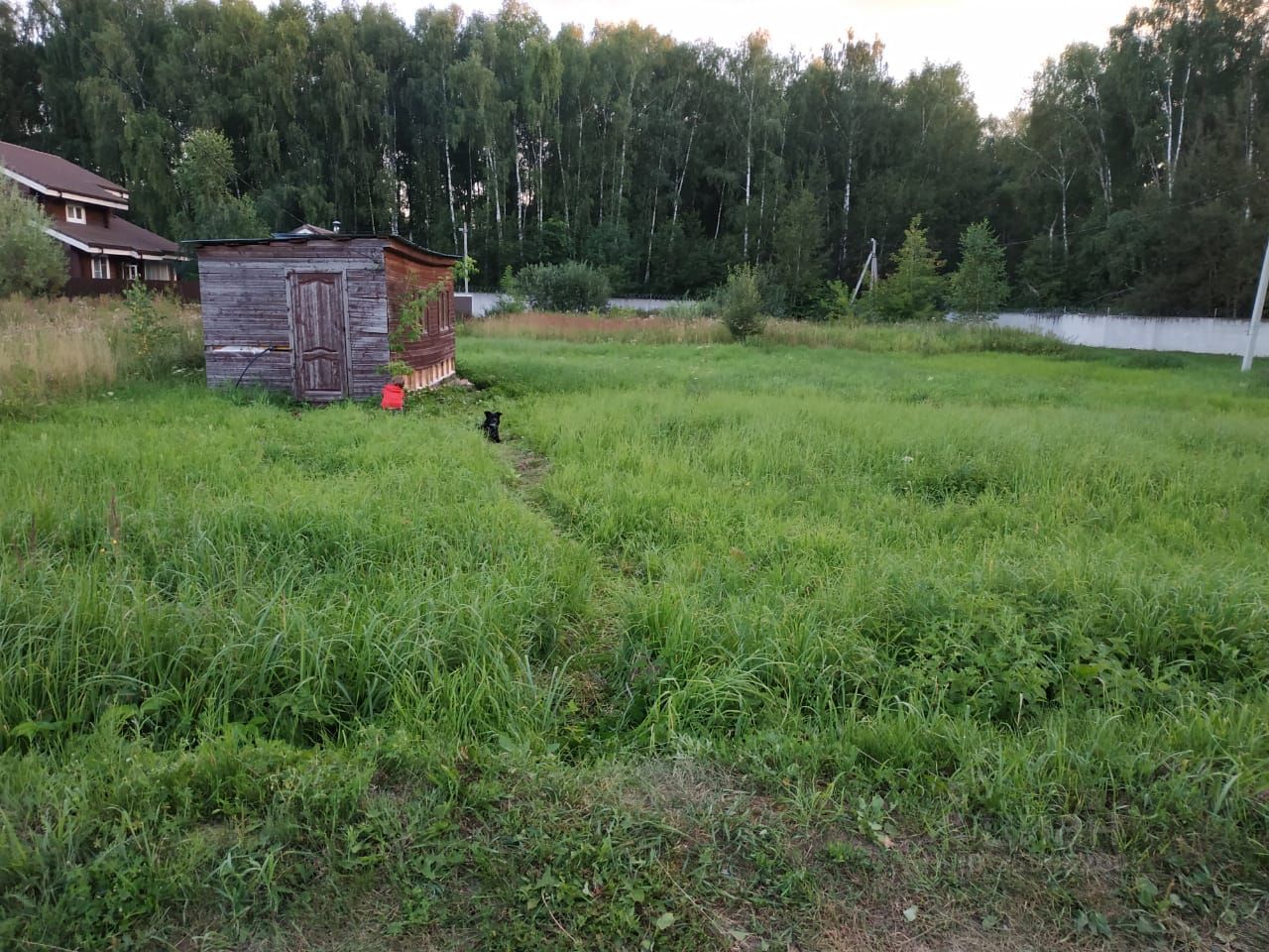 Купить загородную недвижимость в садовые участки Шишкин лес городского  округа Воскресенска, продажа загородной недвижимости - база объявлений  Циан. Найдено 4 объявления