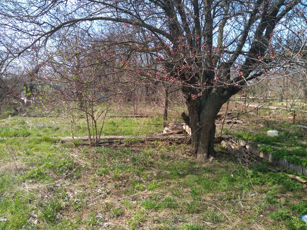 Купить дачу недорого в Белой Калитве. Найдено 1 объявление.