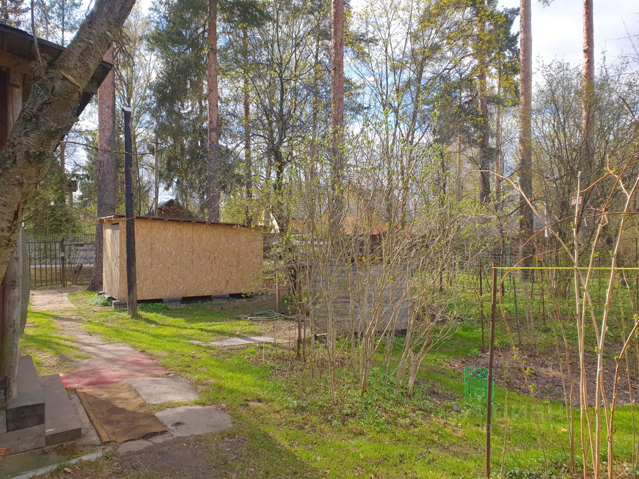 Купить земельный участок на улице Маяковского в городском поселке Вырица,  продажа земельных участков - база объявлений Циан. Найдено 3 объявления