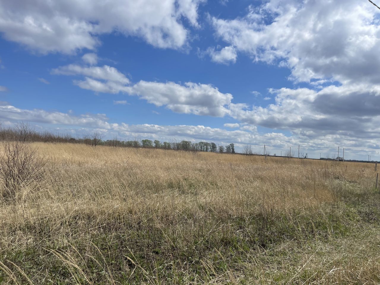 Купить загородную недвижимость в сельском поселении Ягодное Самарской  области, продажа загородной недвижимости - база объявлений Циан. Найдено 5  объявлений