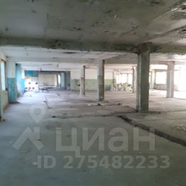 своб. назнач. 500 м², этаж 1