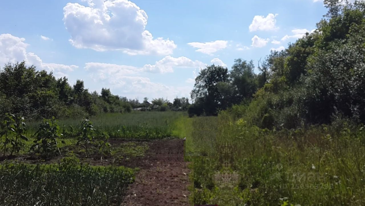 Купить загородную недвижимость в селе Волотово Лебедянского района, продажа  загородной недвижимости - база объявлений Циан. Найдено 3 объявления