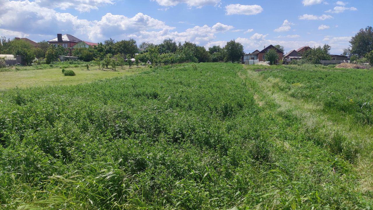 Купить загородную недвижимость в хуторе Черюмкин Аксайского района, продажа  загородной недвижимости - база объявлений Циан. Найдено 2 объявления